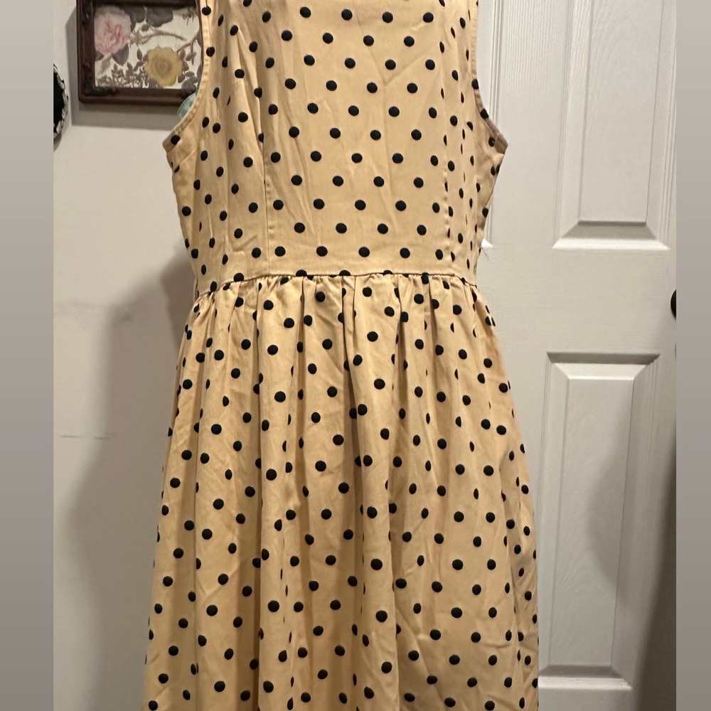 Polka Dot Dress